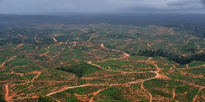 Kalimantan merupakan pulau yang terhitung jarang diguncang gempa namun tanah pulau ini rawan longsor © merdeka.com