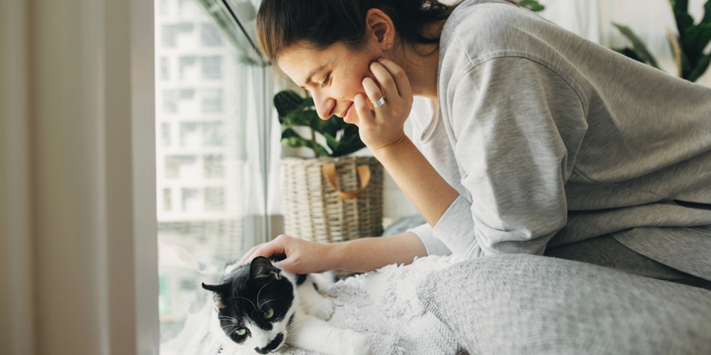 10 Silly Habits of Cat Owners, Proof of Unconditional Love for Pets