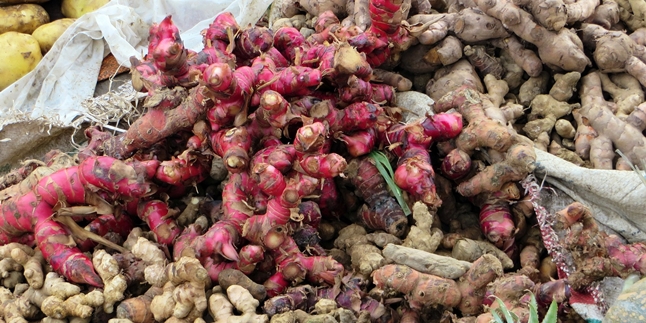 10 Benefits of Red Ginger, Increase Male Fertility - Best Asthma Medicine