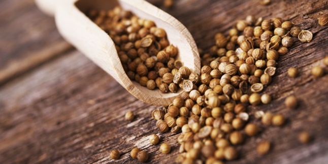 10 Benefits of Coriander for Health, Not Only Cooking Seasoning But Also Herbal Drinks