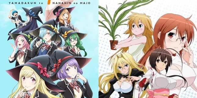 10 Recommendations for the Most Exciting Echi Anime Genre with Interesting Characters, Addictive!