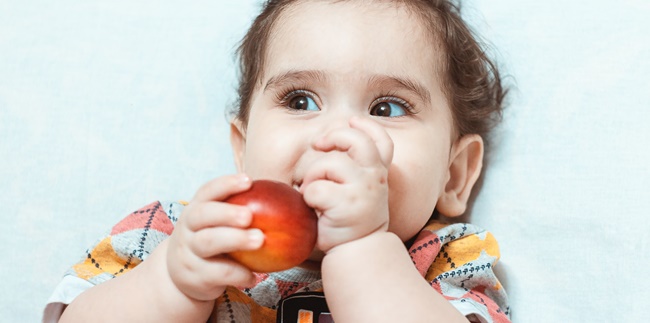 15 Iron-Rich Foods for Toddlers, Good for Complementary Nutrition for Complementary Feeding