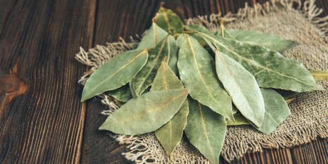 15 Benefits of Boiled Bay Leaves, Feel the Benefits for Health and Beauty