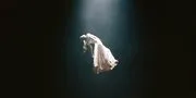 Arti dan Makna Lagu Hampstead Ariana Grande dan Keberanian Menyembuhkan Luka Lama