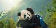 Film MOON THE PANDA 2025 - Sinopsis, Pemeran, dan Fakta Menariknya