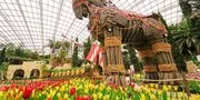 Jalan-Jalan Santai Sambil Berburu Foto Estetik, Jelajahi Hamparan Bunga di Tulipmania 2026 Singapura