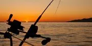Kata Kata Mancing Terlengkap untuk Pemancing Sejati Indonesia