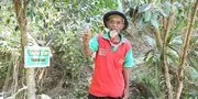 Kisah Mbah Sadiman Hijaukan Gunung Lawu 29 Tahun, Tanam 15 Ribu Lebih Pohon