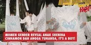 Momen Gender Reveal Anak Shenina Cinnamon dan Angga Yunanda, It's A Boy!