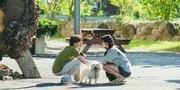 Rekomendasi K-Drama Romantis dengan Latar Pedesaan yang Menenangkan, Bisa Nonton Sambil Healing!