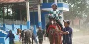 SARGA.CO Siap Gelar Indonesia's Horse Racing (IHR) Cup II 2025 dan Sarga Festival di Payakumbuh, Sumatera Barat