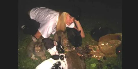 Paris Hilton Ubah Nasib 20 Ekor Kelinci