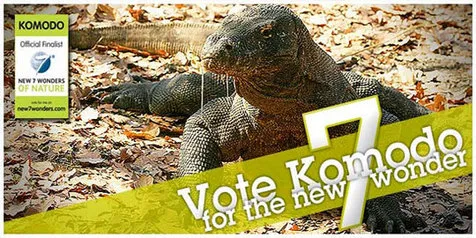 Emmy Hafild: Djoko Tak Paham Prosedur Vote New7Wonders