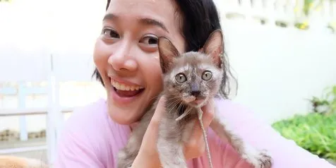 10 Bukti Kucing Benci Diajak Selfie, Hasilnya Bikin Ngakak!