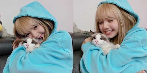 5 Potret Lisa BLACKPINK Bareng Kucing Kesayangan, Mana Lebih Lucu 