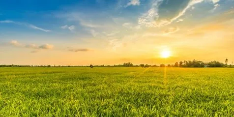 52 KataKata untuk Pagi Hari Penuh Makna, Sumber Inspirasi dan