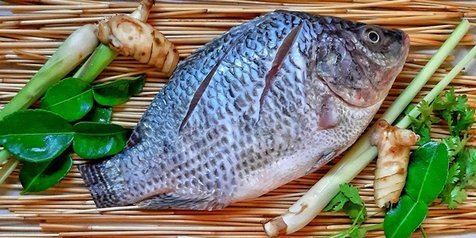 8 Jenis Ikan Air Tawar yang Paling Populer di Konsumsi, Salah Satunya Ikan Patin