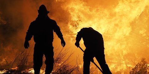 9 Arti Mimpi Kebakaran dari Rumah - Hutan yang Jarang Disadari, Jangan Keburu Takut
