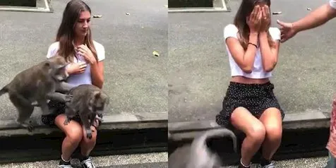 Bermain Dengan Monyet Saat Berada di Bali, Wisatawan Asing Ini Alami Kejadian Kocak