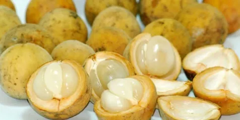Bule Amerika Ini Nyoba Makan Buah Duku, Ekspresinya Nggak Nahan
