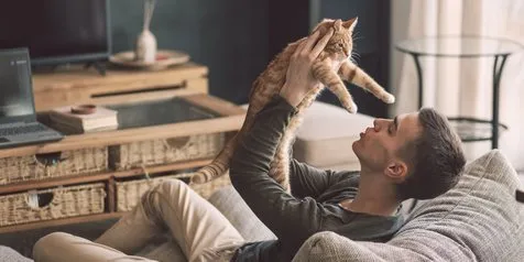 Cat Food Halal hingga Konsultasi Virtual, Ini Lho Tren Perawatan Kucing yang Booming di 2021