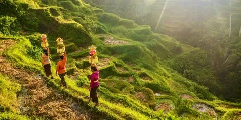 Dari Bali Swing Hingga GWK, Influencer India Dibikin Kagum Keindahan Pulau Dewata