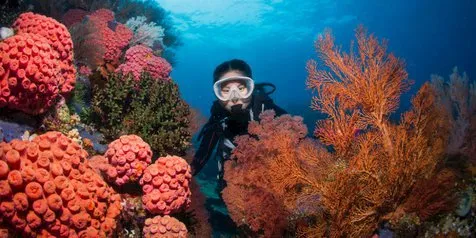 Dukung Pariwisata Indonesia, Maskapai Ini Hadirkan Rute Hemat Jakarta-Sorong