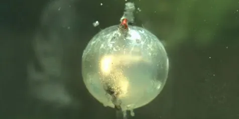 Ledakan di Dalam Air Direkam Secara Slow Motion, Keren Atau...