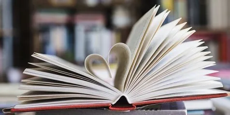 Mengenal Jenis-Jenis Novel, Lengkap Beserta Penjelasan dan Contohnya