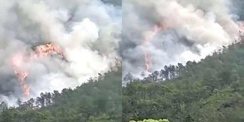 Pesawat China Eastern Jatuh, Tabrak Gunung Hingga Terbakar Hebat - Nasib 133 Penumpang Belum Diketahui