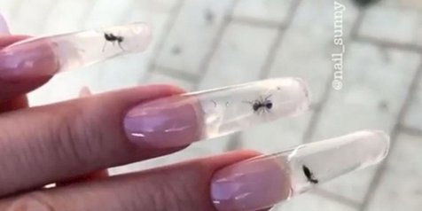 Salon Ini Dikritik Karena Mengurung Semut Hidup-Hidup di Kuku Akrilik Transparan