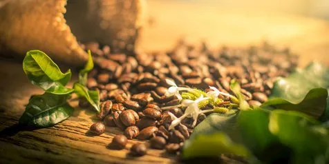 Semerbak Aroma Kopi Dinodok Curi Perhatian di Festival Pesona Bunaken 2019
