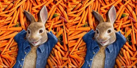 Sinopsis 'PETER RABBIT', Kisah Aksi Kabur Keluarga Kelinci Yang Suka Curi Wortel