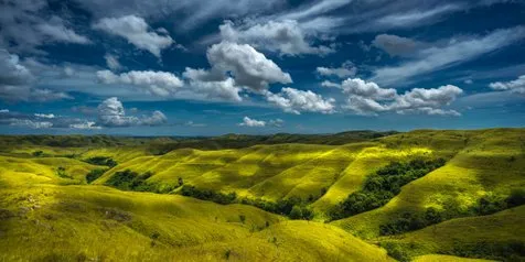 Waingapu Makin Seru dengan Hadirnya Festival Sandalwood 2019