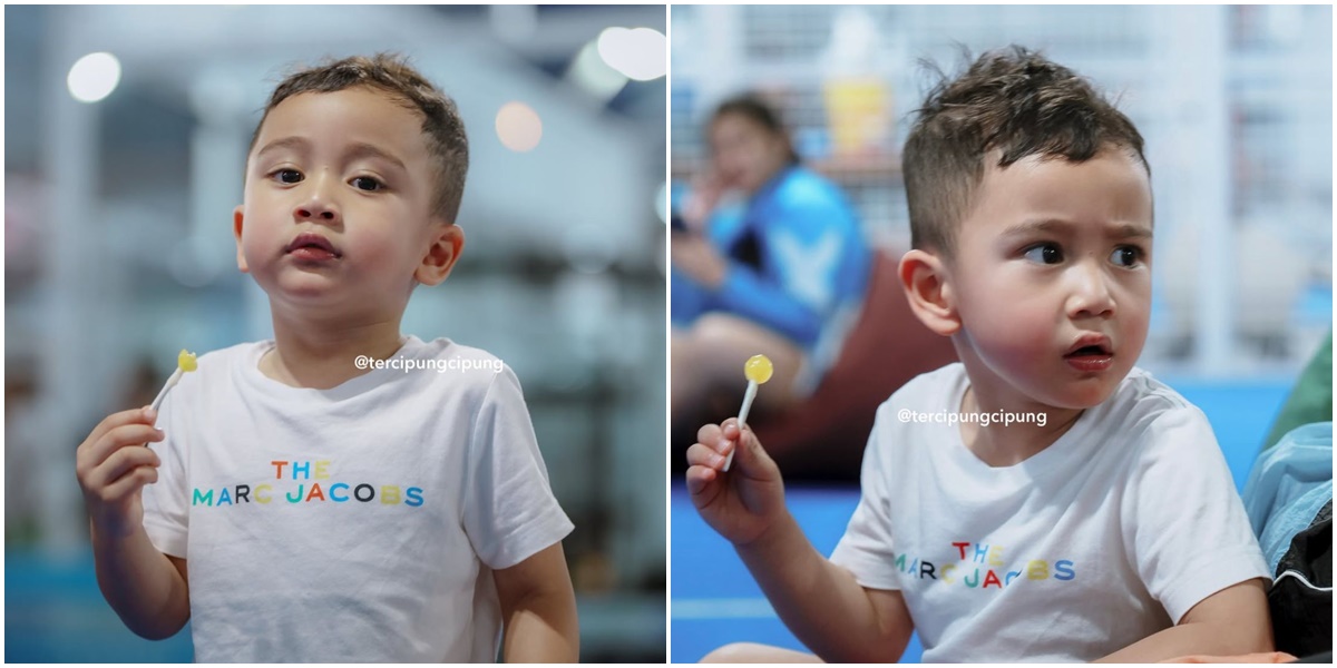 5 Photos of Cipung with a Lollipop in Hand, His Cute Expressions Successfully Captured Attention