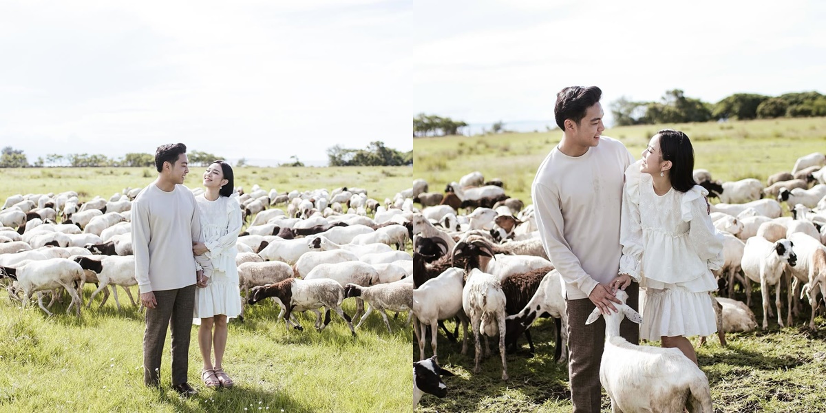 5 Prewedding Photos of Jessica Jane and Erwin Phang Surrounded by Sheep, Looking Harmonious and Affectionate