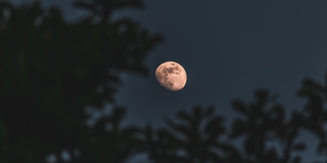 50 Words about the Meaningful and Touching Full Moon, Depicting Deep Longing