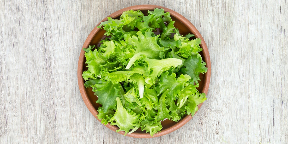 6 Practical, Delicious, and Nutritious Lettuce Vegetable Recipes