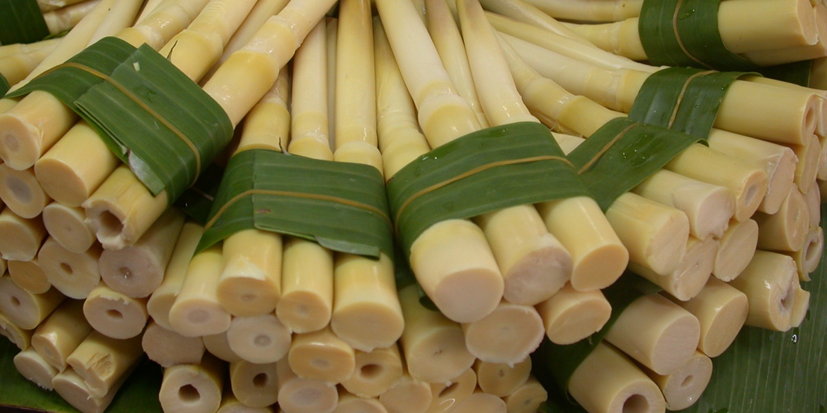 6 Delicious Bamboo Shoot Vegetable Recipes, Can Be Various Tempting Dishes