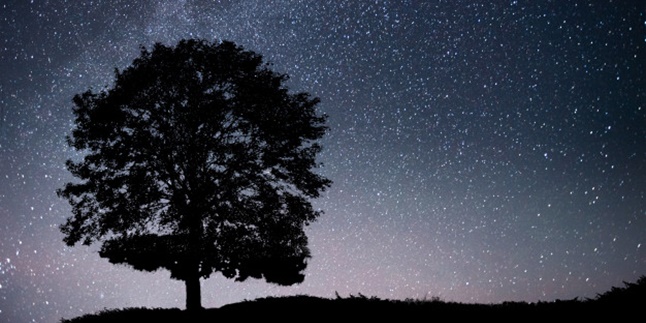 65 Quiet Night Words that Touch the Heart, Wise and Meaningful Self-Introspection Material