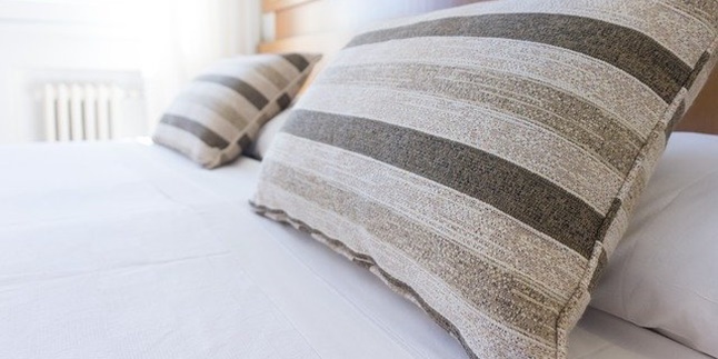 7 Easy Ways to Get Rid of Bed Bugs, Improve Sleep Quality