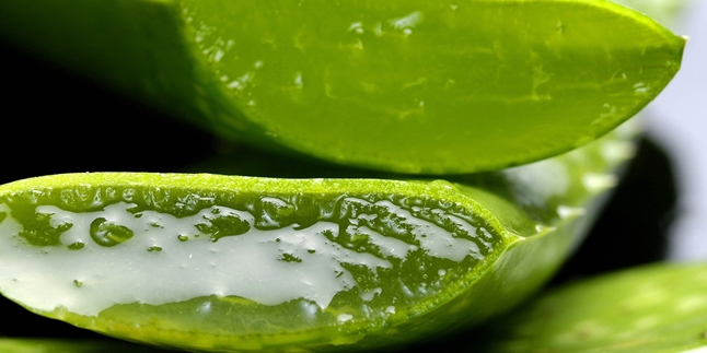 7 Ways to Make Aloe Vera Masks to Treat Various Types of Facial Skin