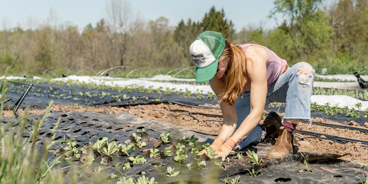 7 Good Days to Plant According to Javanese Primbon, A Complete Guide to Farming According to Tradition