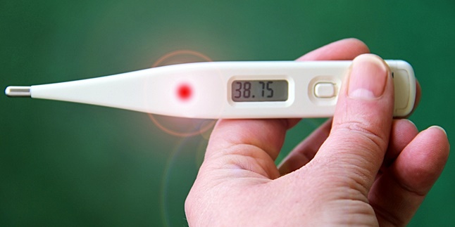 7 Types of Thermometers Along with Characteristics and Usage Methods That Need to Be Known