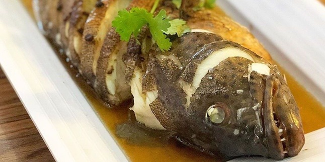 7 Benefits of Grouper Fish for Health, Reducing Depression - Improving Brain Intelligence