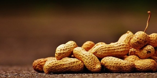 7 Benefits of Peanuts for Health, Suitable as a Snack during Diet