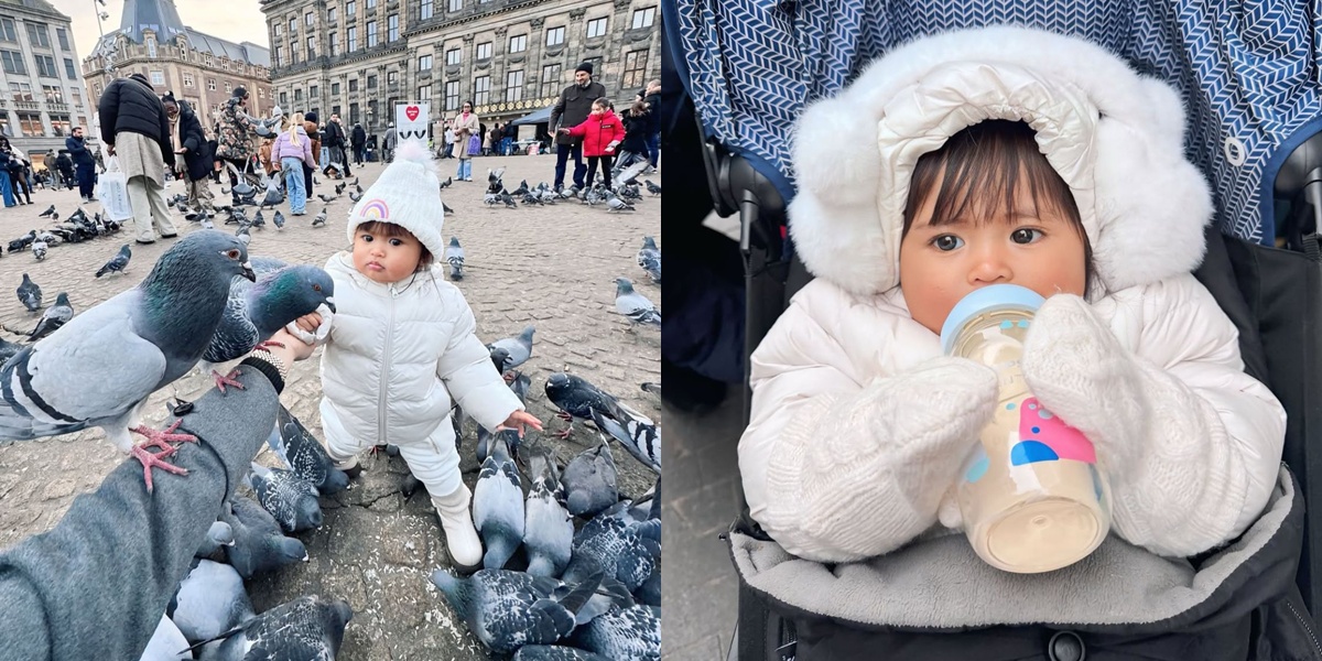 7 Photos of Cunda's Vacation in the Netherlands, His Reaction When Surrounded by Birds is Adorable