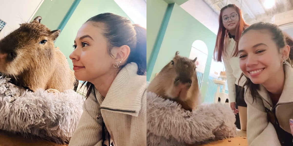 7 Pictures of Yuki Kato Having Fun with Capybara, Netizens: Reminds Me of Jennie BLACKPINK