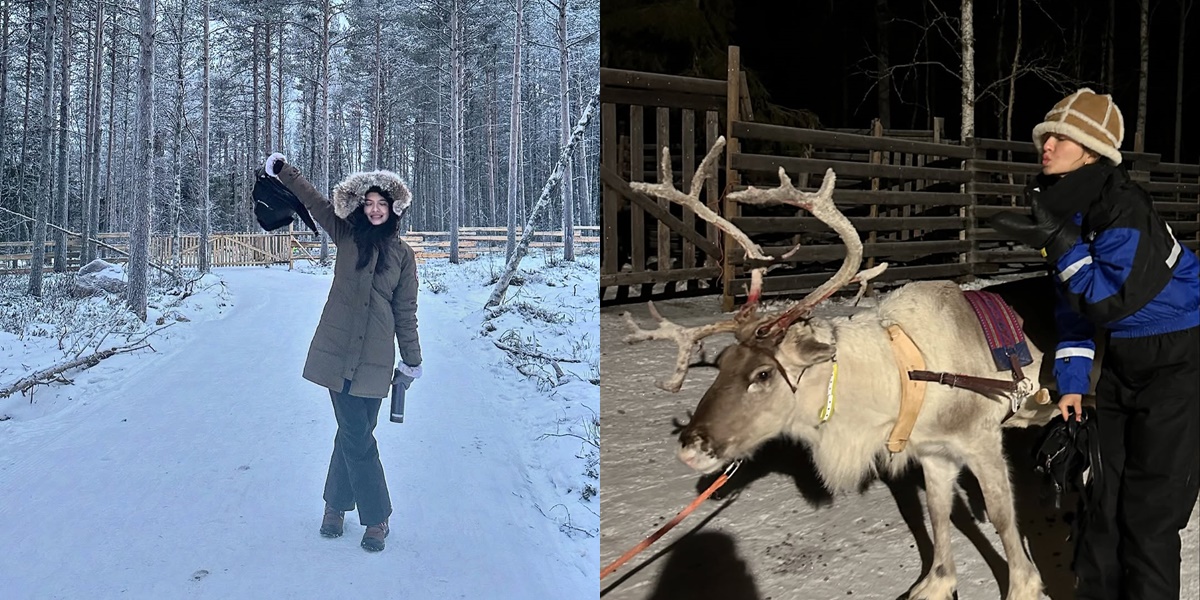 7 Portraits of Raline Shah with Reindeer in Finland, The Vibe Feels Like Riding Santa Claus's Sleigh - Aurora Hunting