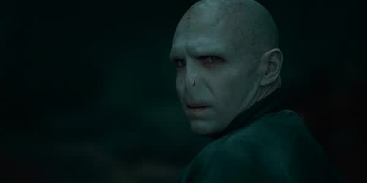 7 Traits of Voldemort MBTI INTJ, Understanding the Personality Type of the Main Antagonist Character in the HARRY POTTER Series